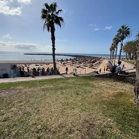 Apartment Parque Santiago 1, 356 Tenerife Dream Playa de las Americas (Tenerife)